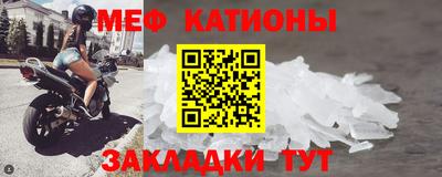 мяу мяу мука Донской