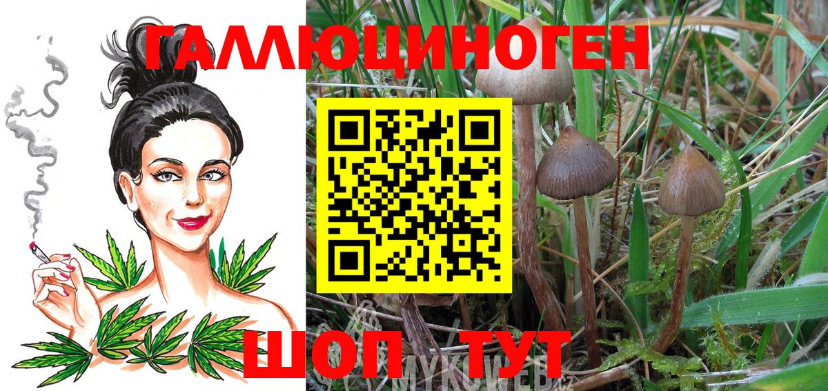 Псилоцибиновые грибы MAGIC MUSHROOMS  Псилоцибиновые грибы Cubensis  Вход с VPN  Магнитогорск 